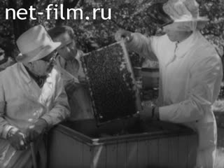 Newsreel Science and technology 1979 № 6