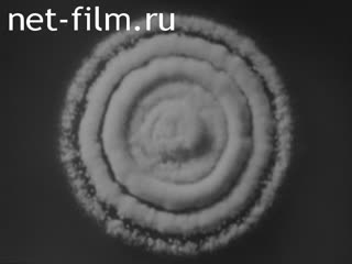 Newsreel Science and technology 1978 № 2