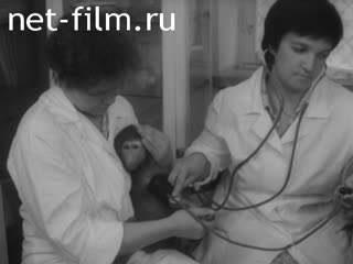 Newsreel Science and technology 1987 № 5