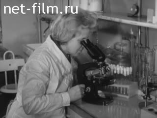 Newsreel Science and technology 1977 № 4