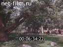 Фильм Посади дерево. (1978)