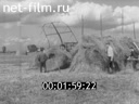 Киножурнал Советская Карелия 1965 № 8