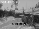 Newsreel Soviet Karelia 1969 № 3