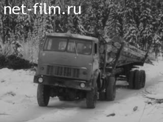 Newsreel Soviet Karelia 1978 № 12