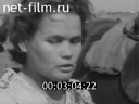 Киножурнал Советская Карелия 1975 № 8