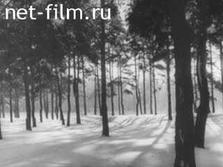 Киножурнал Нижнее Поволжье 1967 № 36