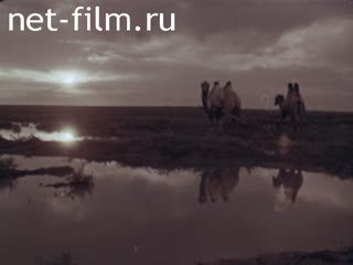 Film In the steppes of Kalmykia. (1960)