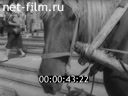 Newsreel Volga lights 1989 № 24 Horse business...