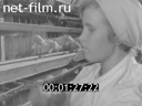 Киножурнал Нижнее Поволжье 1965 № 31 Не золотое, а простое