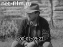 Фильм Семья Робинзонов. (1994)