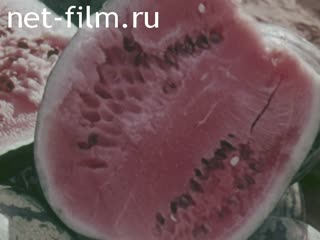 Фильм На земле Астраханской. (1968)