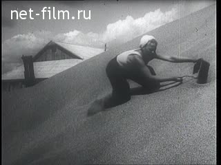 Footage Students and members of the Komsomol in the virgin lands. (1956)
