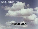 Фильм Там, где цветет сандал. (1998)