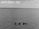 Фильм Ирригация в Заволжье. (1961)