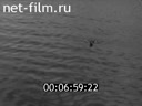 Film In the Volga Delta. (1962)