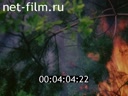Newsreel Volga lights 2001 № 5 Voice of fire and water