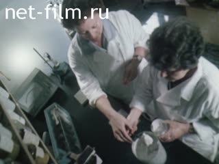 Фильм Наука против огня. (1982)