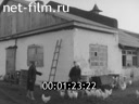 Киножурнал Нижнее Поволжье 1961 № 20 Саратовские птицеводы