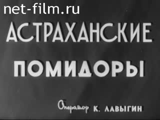 Киножурнал Нижнее Поволжье 1961 № 19
