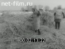 Newsreel Volga lights 1990 № 11 How far is it to the feeling of the owner?