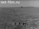 Киножурнал Нижнее Поволжье 1962 № 32 В степь пришла вода