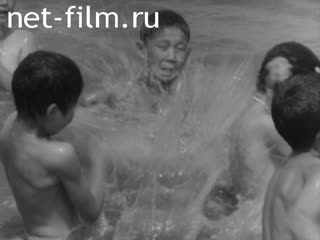 Newsreel Lower Povolzhie 1962 № 32 Water came to the steppe