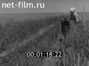 Киножурнал Нижнее Поволжье 1961 № 23
