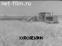 Newsreel Lower Povolzhie 1962 № 30 Feat of Volgogradians