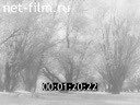 Newsreel Volga lights 1989 № 21 Whose fish is in the river?