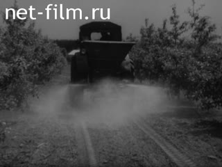 Фильм Пути сокращения потерь минеральных удобрений. (1978)