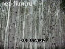 Фильм Комплексные методы защиты леса. (1988)