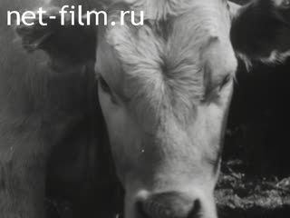 Фильм Нечерноземье независимо от погоды. (1975)