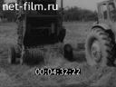 Film Making high quality hay. (1978)