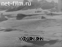 Film The holiday (the polar station on Golomyan Island on May 1, 1967). (1967)