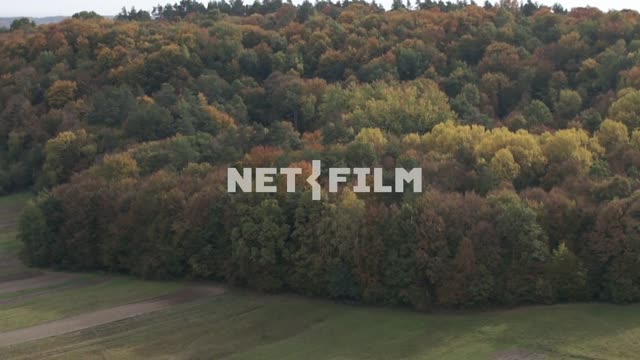 Aerial photo of autumn forest The aerial photo.
General plan.
Mixed...