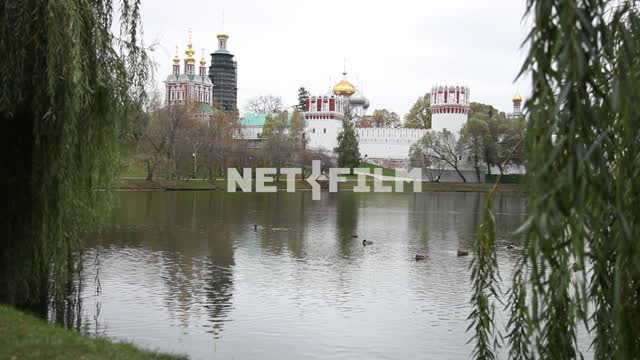 Novodevichy convent. Architecture.
The city.
Cloudy sky.
Trees
Pond.
Duck.
Green grass.