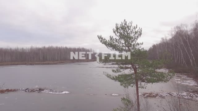 Frozen marsh in autumn forest (shot from a quadcopter) Aerial photography.
Nature.
The general...