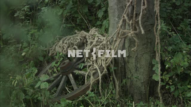 A wagon wheel abandoned in the forest. Village.
Cart wheel.
Rope.
The trunk of a tree.
The...