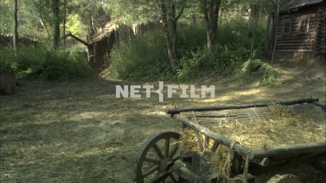 Farm in the forest. Village.
Yard.
Trees.
The fence.
A cart with straw.
Summer.