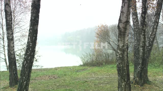Mist over the lake. Nature.
Shore.
Birch.
The surface of the lake.
Green grass.
Trees.
Summer.