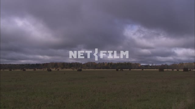 Haystacks in the field. Nature.
Panorama.
Field
Hay
Stack
Trees
forest.
Cloudy...