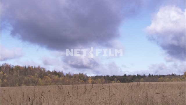Панорамная съемка осеннего поля. Природа.
Панорама.
Поле с желтого цвета травой.
Смешанный...