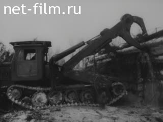 Фильм Попородная сортировка древесины в хлыстах. (1982)