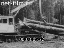 Film Secure equipment in logging. (1983)