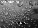 Film Heat transfer during condensation. (1974)