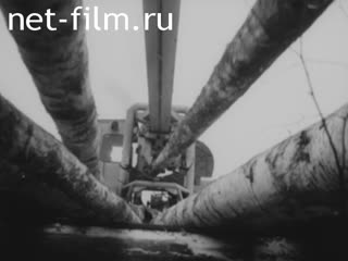 Film Nizhneskladskoy harvester. (1982)