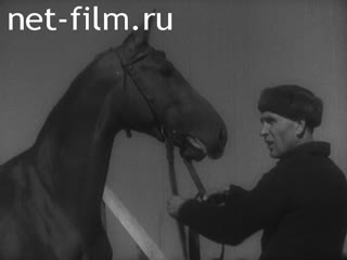 Сюжеты Посещение С. М. Буденным военных конных заводов. (1944)