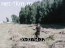 Film A CHRYSOSTOM FROM THE VILLAGE OF POTERYAEVKA. (1994)