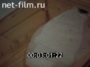 Фильм Дома для западной Сибири. (1984)
