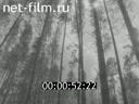 Volga lights 1988 № 23 Who is the master of the forest?